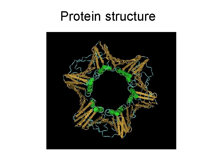 Protein structure 