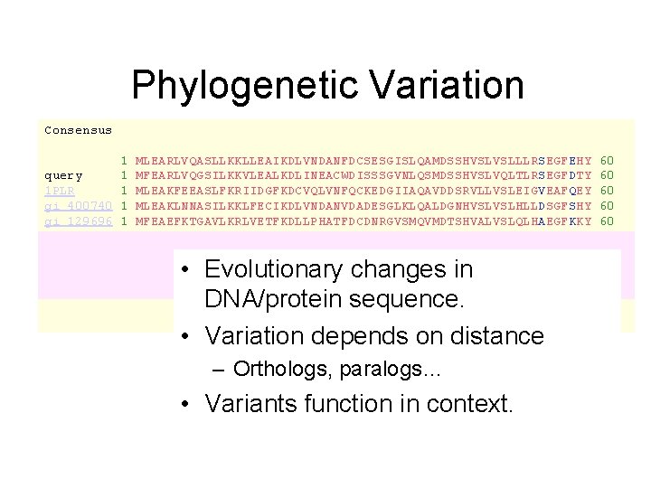 Phylogenetic Variation Consensus 1 query 1 1 PLR 1 gi 400740 1 gi 129696