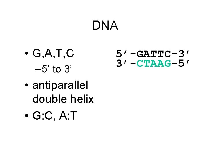 DNA • G, A, T, C – 5’ to 3’ • antiparallel double helix