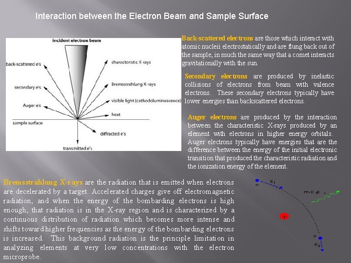 Interaction between the Electron Beam and Sample Surface Back-scattered electrons are those which interact