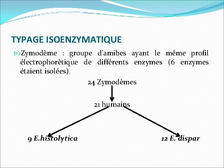 TYPAGE ISOENZYMATIQUE Zymodème : groupe d’amibes ayant le même profil électrophorètique de différents enzymes