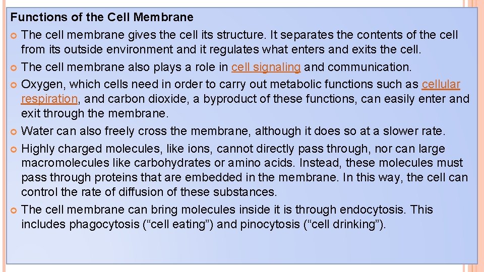 Functions of the Cell Membrane The cell membrane gives the cell its structure. It