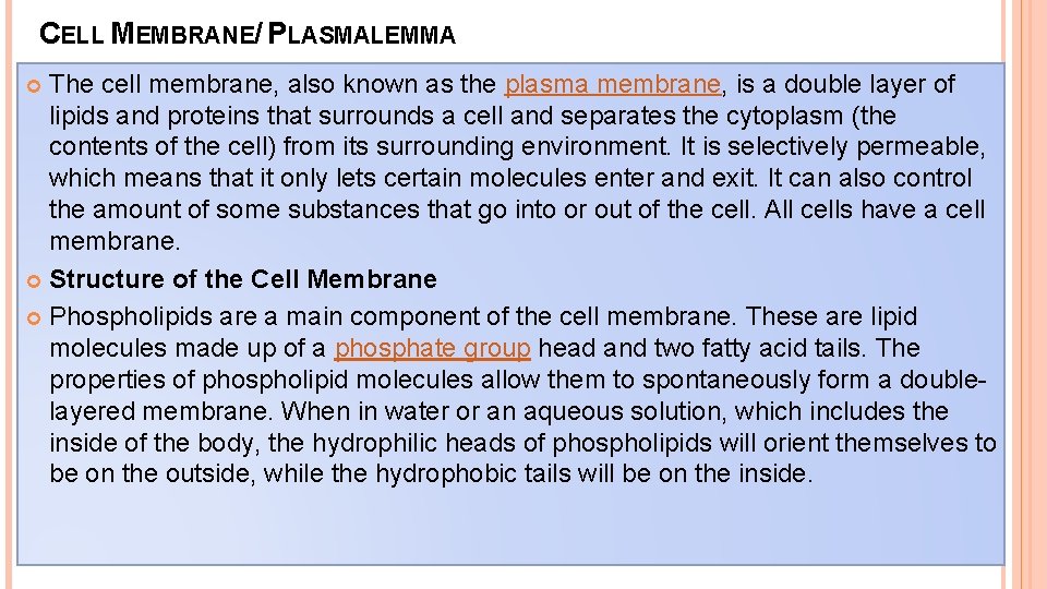 CELL MEMBRANE/ PLASMALEMMA The cell membrane, also known as the plasma membrane, is a