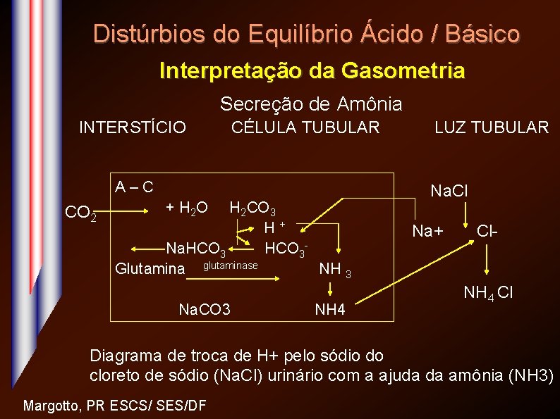 Distúrbios do Equilíbrio Ácido / Básico Interpretação da Gasometria Secreção de Amônia INTERSTÍCIO CÉLULA