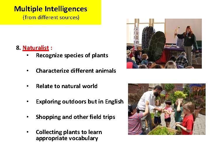 Multiple Intelligences (from different sources) 8. Naturalist : • Recognize species of plants •
