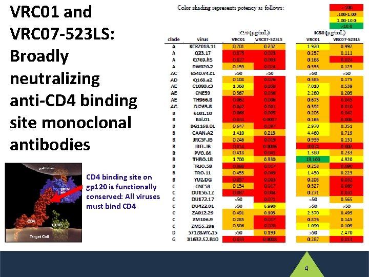 VRC 01 and VRC 07 -523 LS: Broadly neutralizing anti-CD 4 binding site monoclonal