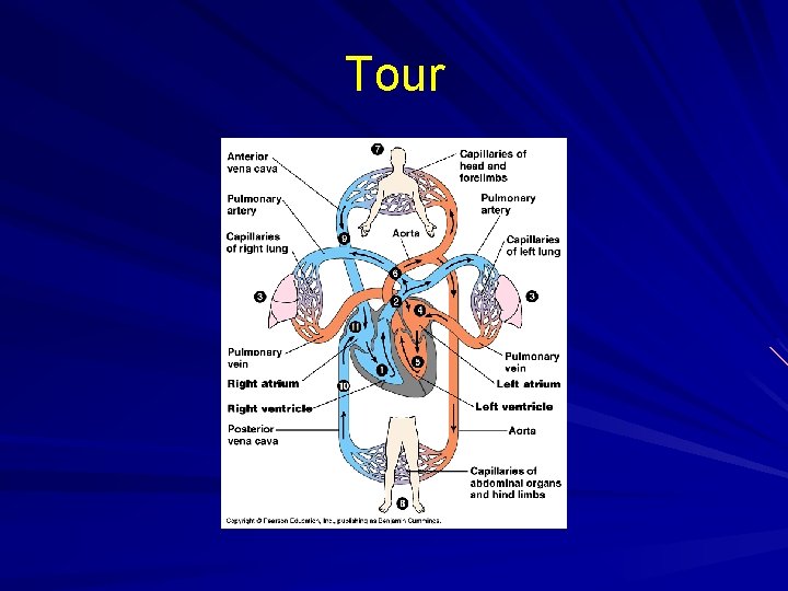 Tour 