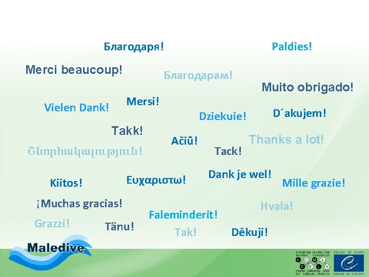 Благодаря! Merci beaucoup! Благодарам! Mersi! Vielen Dank! Takk! Շնորհակալություն! ¡Muchas gracias! Tänu! Muito obrigado!