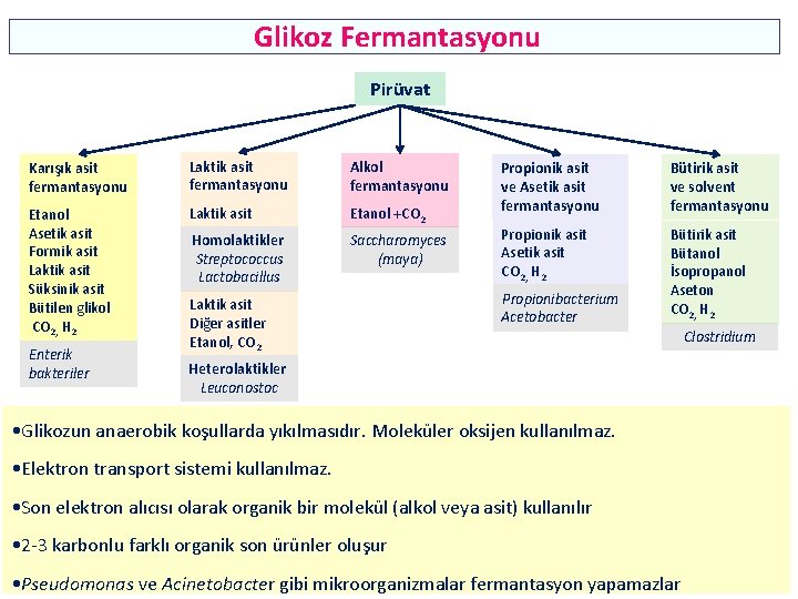 Glikoz Fermantasyonu Pirüvat Karışık asit fermantasyonu Laktik asit fermantasyonu Alkol fermantasyonu Etanol Asetik asit