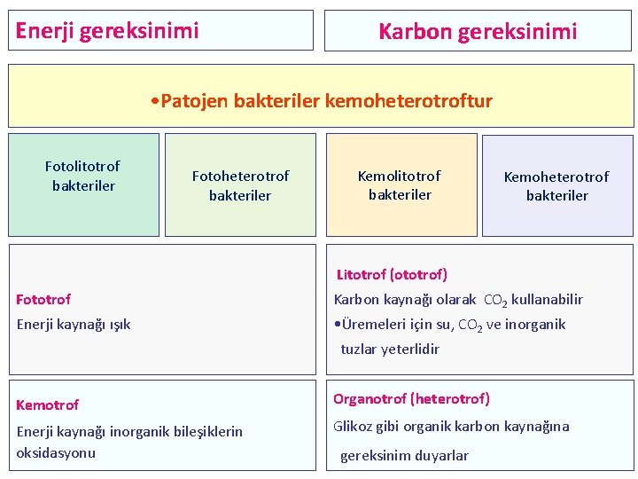 Enerji gereksinimi Karbon gereksinimi • Patojen bakteriler kemoheterotroftur Fotolitotrof bakteriler Fotoheterotrof bakteriler Kemolitotrof bakteriler