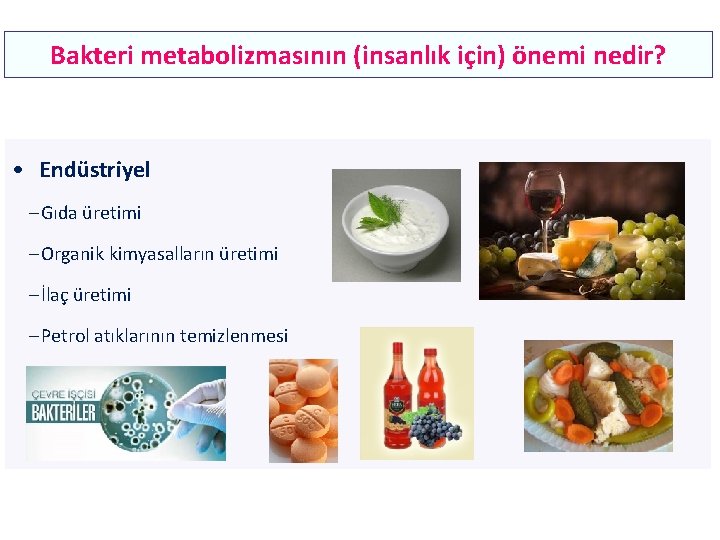 Bakteri metabolizmasının (insanlık için) önemi nedir? • Endüstriyel – Gıda üretimi – Organik kimyasalların