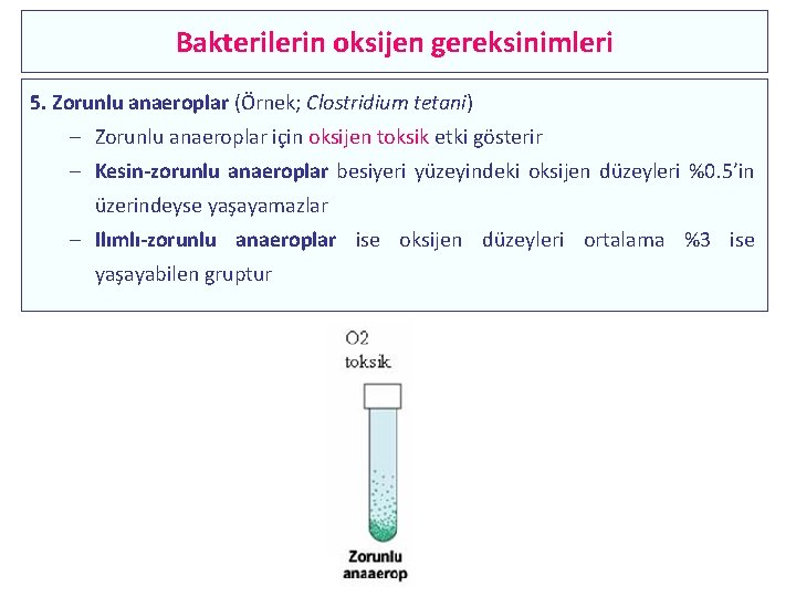 Bakterilerin oksijen gereksinimleri 5. Zorunlu anaeroplar (Örnek; Clostridium tetani) – Zorunlu anaeroplar için oksijen