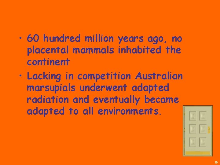  • 60 hundred million years ago, no placental mammals inhabited the continent •