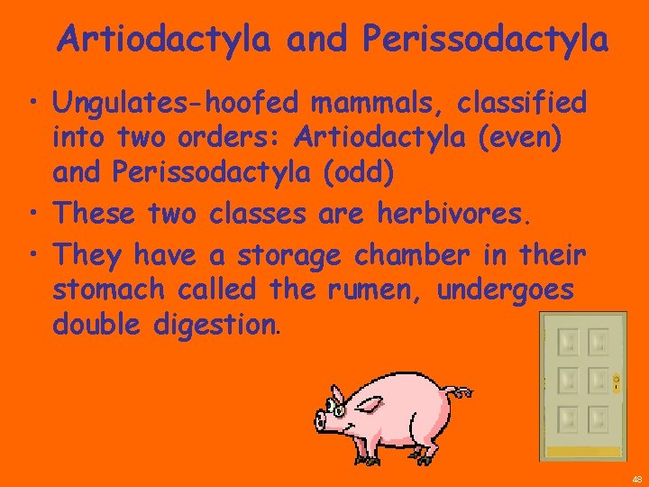 Artiodactyla and Perissodactyla • Ungulates-hoofed mammals, classified into two orders: Artiodactyla (even) and Perissodactyla