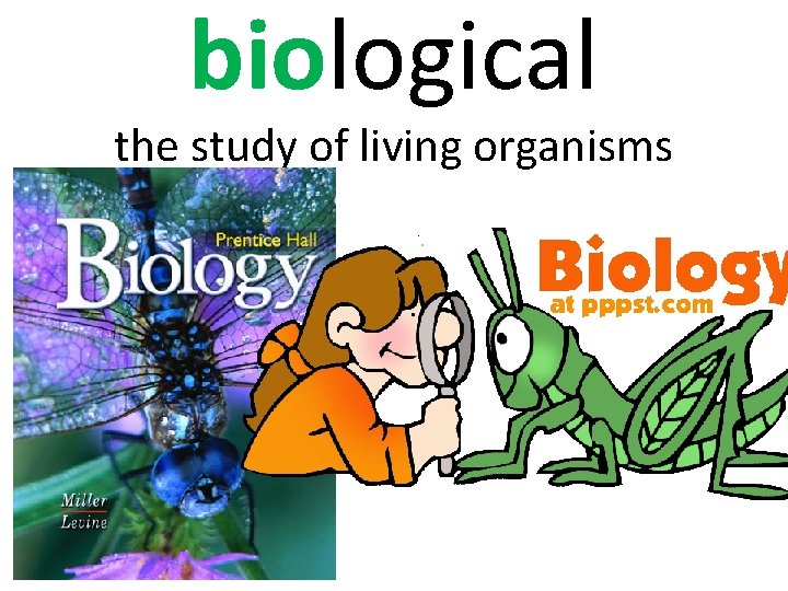 biological the study of living organisms 