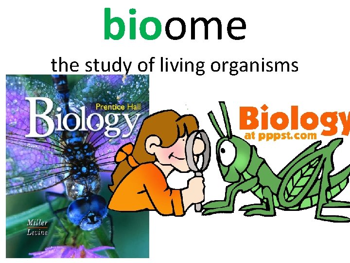 bioome the study of living organisms 