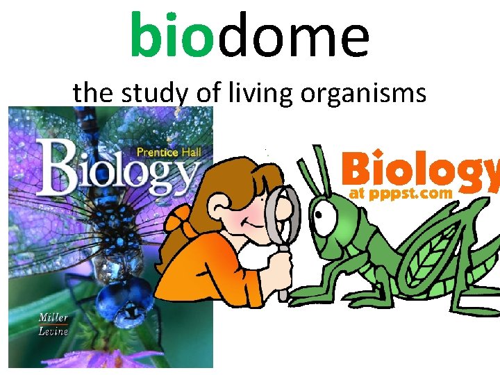 biodome the study of living organisms 