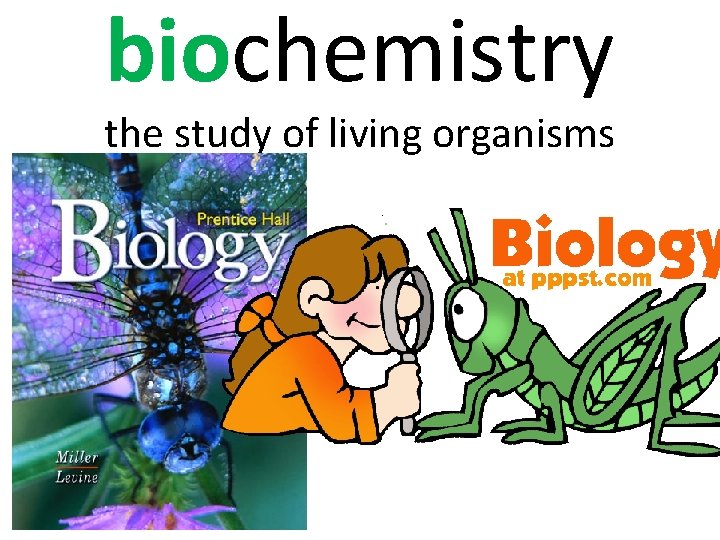 biochemistry the study of living organisms 