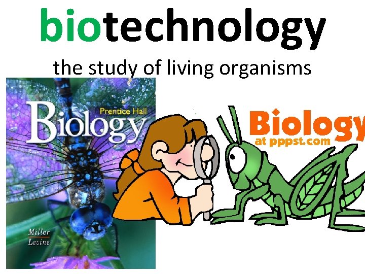 biotechnology the study of living organisms 