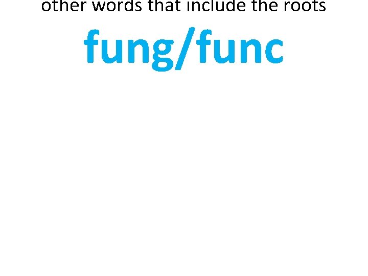 other words that include the roots fung/func 
