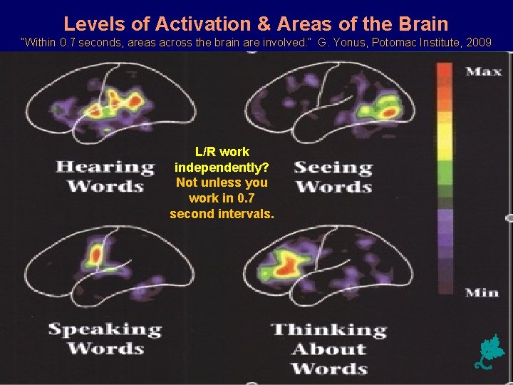 Levels of Activation & Areas of the Brain “Within 0. 7 seconds, areas across