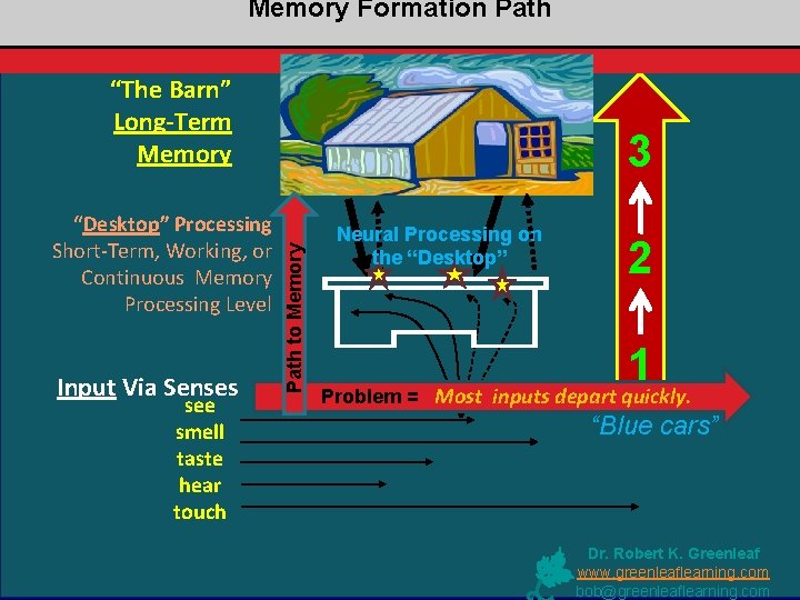Memory Formation Path “The Barn” Long-Term Memory Input Via Senses see smell taste hear