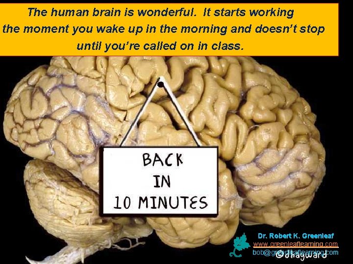 The human brain is wonderful. It starts working the moment you wake up in
