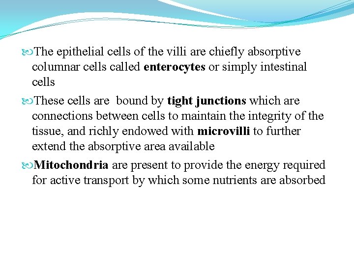  The epithelial cells of the villi are chiefly absorptive columnar cells called enterocytes