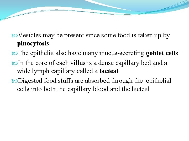  Vesicles may be present since some food is taken up by pinocytosis The