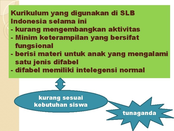 Kurikulum yang digunakan di SLB Indonesia selama ini - kurang mengembangkan aktivitas - Minim