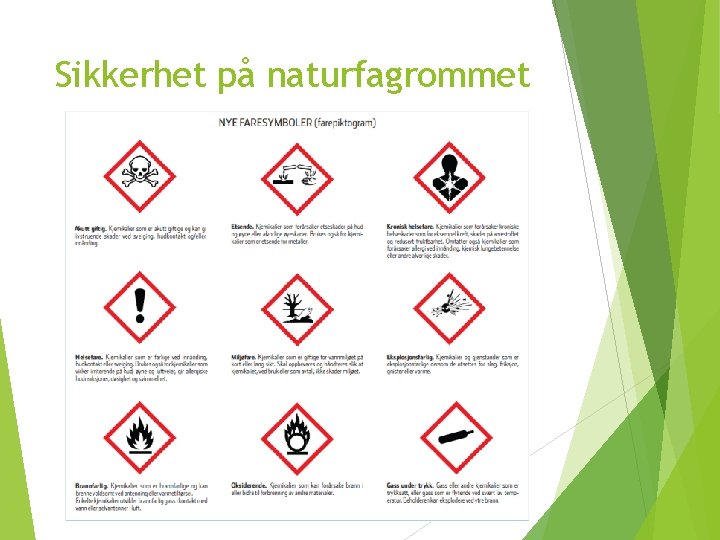 Sikkerhet på naturfagrommet 