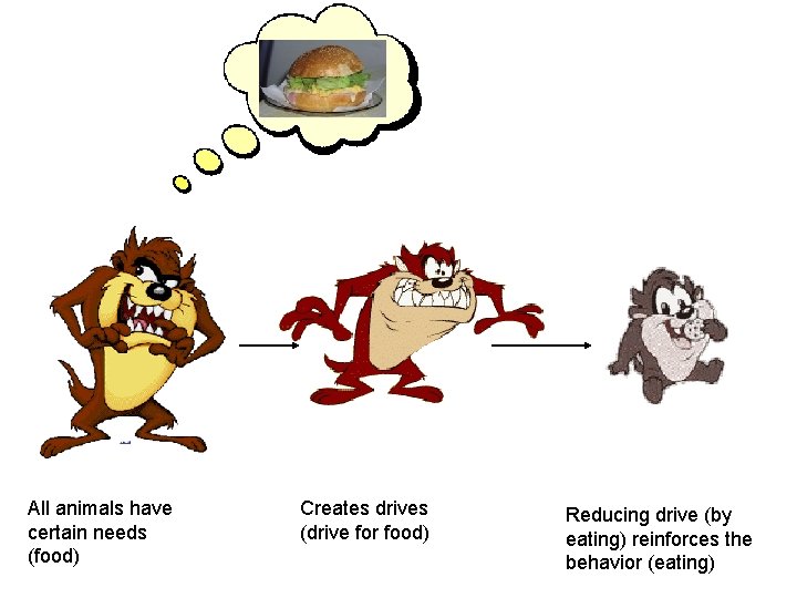All animals have certain needs (food) Creates drives (drive for food) Reducing drive (by