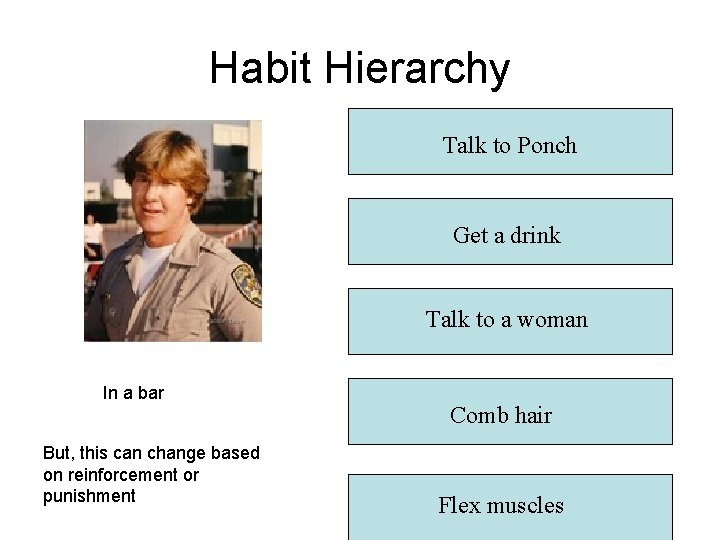 Habit Hierarchy Talk to Ponch Get a drink Talk to a woman In a