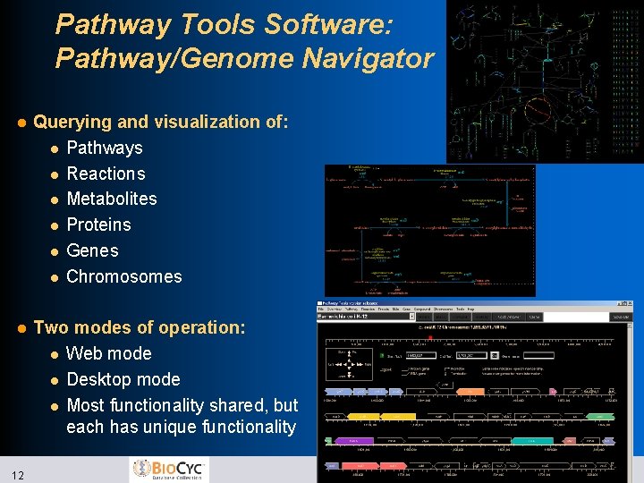 Pathway Tools Software: Pathway/Genome Navigator l Querying and visualization of: l Pathways l Reactions