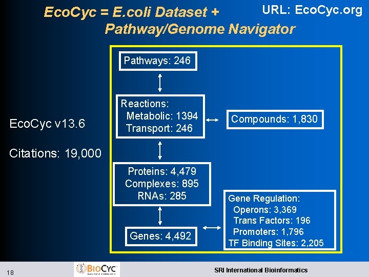 URL: Eco. Cyc. org Eco. Cyc = E. coli Dataset + Pathway/Genome Navigator Pathways: