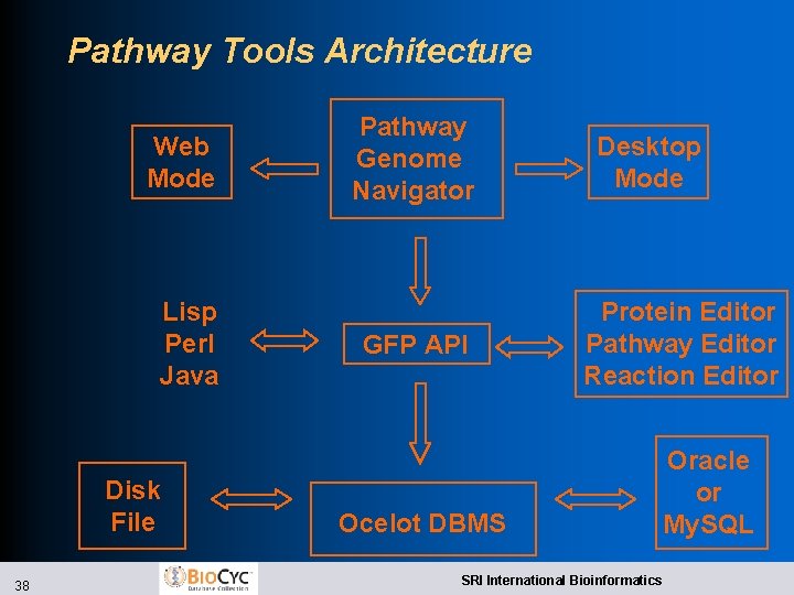 Pathway Tools Architecture Web Mode Lisp Perl Java Disk File 38 Pathway Genome Navigator