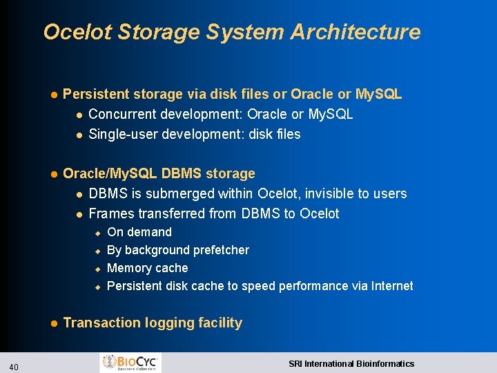 Ocelot Storage System Architecture l Persistent storage via disk files or Oracle or My.