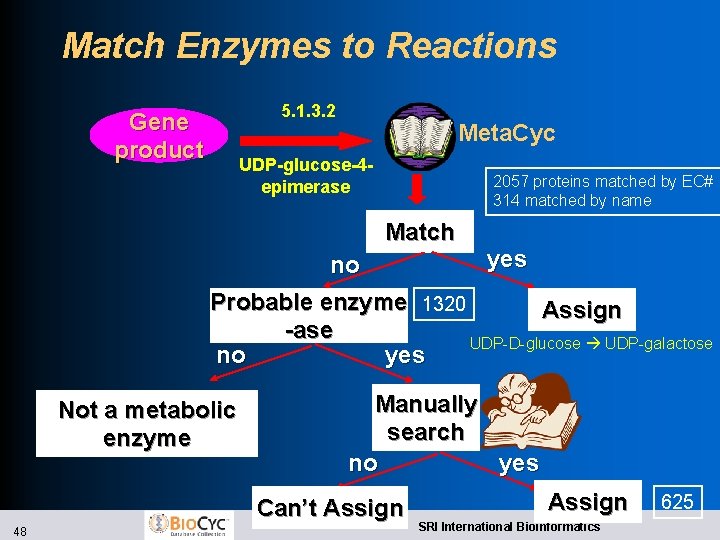 Match Enzymes to Reactions 5. 1. 3. 2 Gene product Meta. Cyc UDP-glucose-4 epimerase