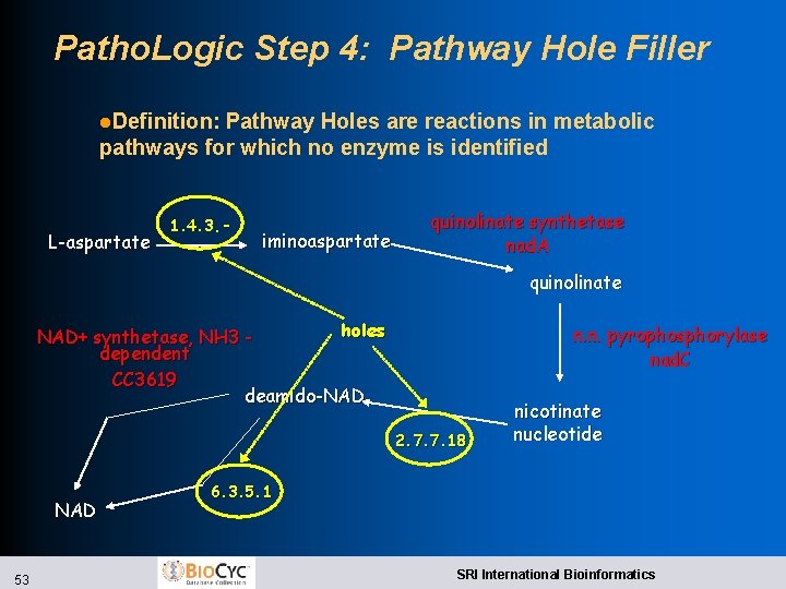 Patho. Logic Step 4: Pathway Hole Filler l. Definition: Pathway Holes are reactions in