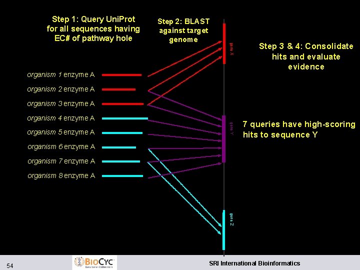 Step 2: BLAST against target genome gene X Step 1: Query Uni. Prot for