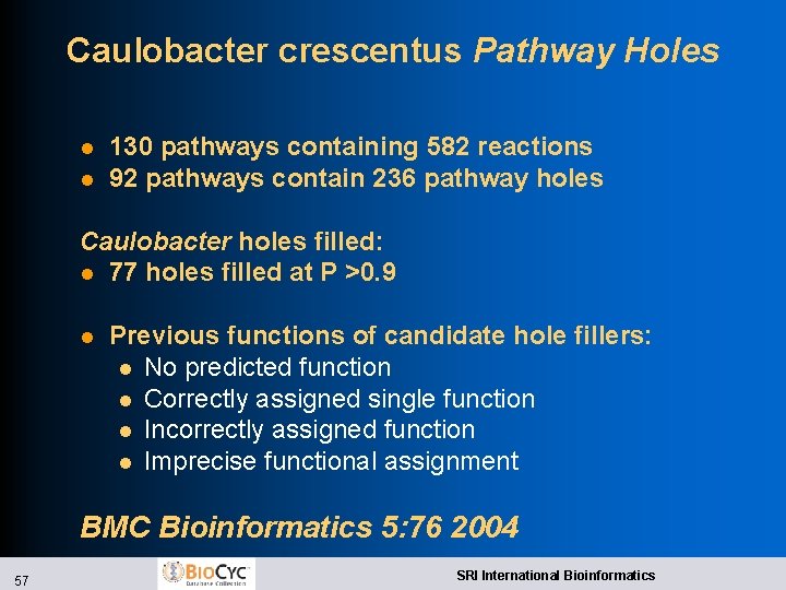 Caulobacter crescentus Pathway Holes l l 130 pathways containing 582 reactions 92 pathways contain