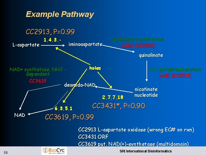 Example Pathway CC 2913, P=0. 99 L-aspartate 1. 4. 3. - iminoaspartate quinolinate synthetase