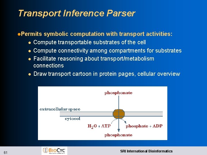 Transport Inference Parser l. Permits l l 61 symbolic computation with transport activities: Compute
