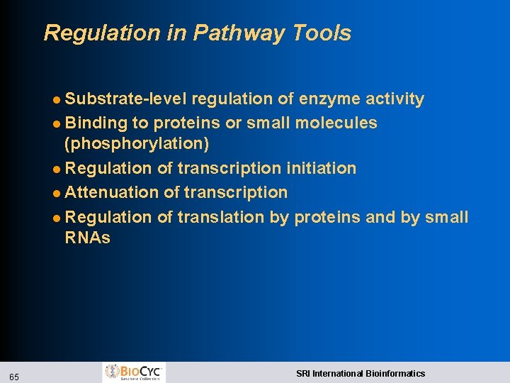 Regulation in Pathway Tools l Substrate-level regulation of enzyme activity l Binding to proteins