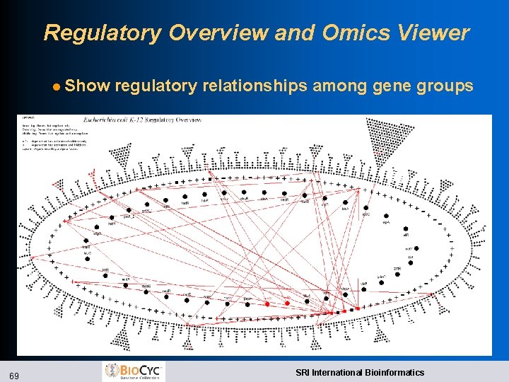 Regulatory Overview and Omics Viewer l Show 69 regulatory relationships among gene groups SRI