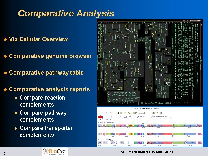 Comparative Analysis l Via Cellular Overview l Comparative genome browser l Comparative pathway table