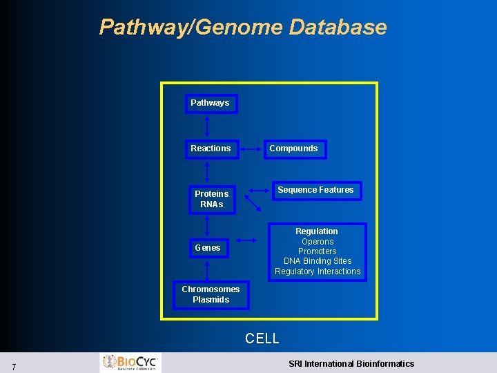 Pathway/Genome Database Pathways Reactions Proteins RNAs Genes Compounds Sequence Features Regulation Operons Promoters DNA