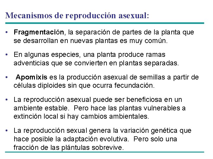 Mecanismos de reproducción asexual: • Fragmentación, la separación de partes de la planta que