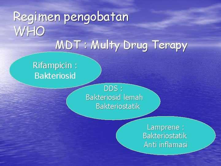 Regimen pengobatan WHO MDT : Multy Drug Terapy Rifampicin : Bakteriosid DDS : Bakteriosid