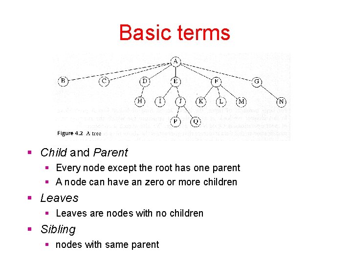 Basic terms Child and Parent Every node except the root has one parent A